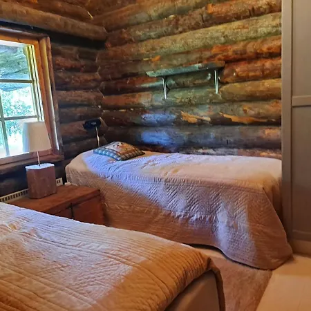 Kelosyvaeri 6 Сasa de vacaciones Nilsiä